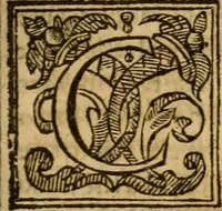Picture 81 of 112 from The Mount of Calvarie (1597), leaf 688