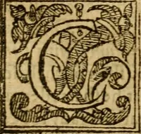 An illustration from The Mount of Calvarie (1597)