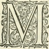 An illustration from Moyen povr avgmenter les revenvs du royaume de plusieurs millions: cela ce peut, augmentant le reuenu des terres, on peut faire que le bestial produira 2. fois plus de profit qu'il ne fait .. (1666)