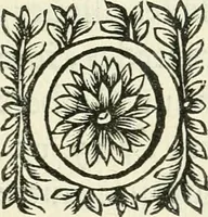 An illustration from Moyen povr avgmenter les revenvs du royaume de plusieurs millions: cela ce peut, augmentant le reuenu des terres, on peut faire que le bestial produira 2. fois plus de profit qu'il ne fait .. (1666)