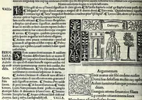 Picture 10 of 76 from M. Plauti linguae latinae principis comoediae XX recens ex collatione multorum codicum : q[ui] tum calamo scripti tum formulis excusi habeba[n]tur singulari diligentia recognitae : item eaedem comoediae o[mn]ibus fere locis co[m]mentationibus ornantur (1511), leaf 110