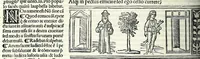 Picture 14 of 76 from M. Plauti linguae latinae principis comoediae XX recens ex collatione multorum codicum : q[ui] tum calamo scripti tum formulis excusi habeba[n]tur singulari diligentia recognitae : item eaedem comoediae o[mn]ibus fere locis co[m]mentationibus ornantur (1511), leaf 130