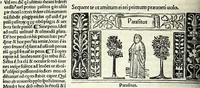 Picture 17 of 76 from M. Plauti linguae latinae principis comoediae XX recens ex collatione multorum codicum : q[ui] tum calamo scripti tum formulis excusi habeba[n]tur singulari diligentia recognitae : item eaedem comoediae o[mn]ibus fere locis co[m]mentationibus ornantur (1511), leaf 154