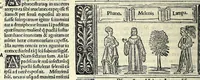 Picture 28 of 76 from M. Plauti linguae latinae principis comoediae XX recens ex collatione multorum codicum : q[ui] tum calamo scripti tum formulis excusi habeba[n]tur singulari diligentia recognitae : item eaedem comoediae o[mn]ibus fere locis co[m]mentationibus ornantur (1511), leaf 236