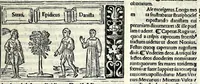 Picture 30 of 76 from M. Plauti linguae latinae principis comoediae XX recens ex collatione multorum codicum : q[ui] tum calamo scripti tum formulis excusi habeba[n]tur singulari diligentia recognitae : item eaedem comoediae o[mn]ibus fere locis co[m]mentationibus ornantur (1511), leaf 259