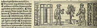Picture 31 of 76 from M. Plauti linguae latinae principis comoediae XX recens ex collatione multorum codicum : q[ui] tum calamo scripti tum formulis excusi habeba[n]tur singulari diligentia recognitae : item eaedem comoediae o[mn]ibus fere locis co[m]mentationibus ornantur (1511), leaf 270