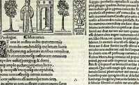 An illustration from M. Plauti linguae latinae principis comoediae XX recens ex collatione multorum codicum : q[ui] tum calamo scripti tum formulis excusi habeba[n]tur singulari diligentia recognitae : item eaedem comoediae o[mn]ibus fere locis co[m]mentationibus ornantur (1511)