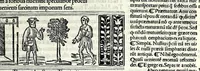 Picture 35 of 76 from M. Plauti linguae latinae principis comoediae XX recens ex collatione multorum codicum : q[ui] tum calamo scripti tum formulis excusi habeba[n]tur singulari diligentia recognitae : item eaedem comoediae o[mn]ibus fere locis co[m]mentationibus ornantur (1511), leaf 305