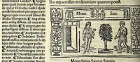 Picture 43 of 76 from M. Plauti linguae latinae principis comoediae XX recens ex collatione multorum codicum : q[ui] tum calamo scripti tum formulis excusi habeba[n]tur singulari diligentia recognitae : item eaedem comoediae o[mn]ibus fere locis co[m]mentationibus ornantur (1511), leaf 346