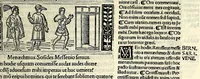 Picture 45 of 76 from M. Plauti linguae latinae principis comoediae XX recens ex collatione multorum codicum : q[ui] tum calamo scripti tum formulis excusi habeba[n]tur singulari diligentia recognitae : item eaedem comoediae o[mn]ibus fere locis co[m]mentationibus ornantur (1511), leaf 351