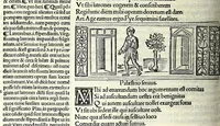 Picture 46 of 76 from M. Plauti linguae latinae principis comoediae XX recens ex collatione multorum codicum : q[ui] tum calamo scripti tum formulis excusi habeba[n]tur singulari diligentia recognitae : item eaedem comoediae o[mn]ibus fere locis co[m]mentationibus ornantur (1511), leaf 358