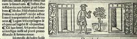 Picture 50 of 76 from M. Plauti linguae latinae principis comoediae XX recens ex collatione multorum codicum : q[ui] tum calamo scripti tum formulis excusi habeba[n]tur singulari diligentia recognitae : item eaedem comoediae o[mn]ibus fere locis co[m]mentationibus ornantur (1511), leaf 398