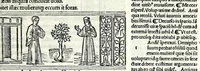 Picture 51 of 76 from M. Plauti linguae latinae principis comoediae XX recens ex collatione multorum codicum : q[ui] tum calamo scripti tum formulis excusi habeba[n]tur singulari diligentia recognitae : item eaedem comoediae o[mn]ibus fere locis co[m]mentationibus ornantur (1511), leaf 405