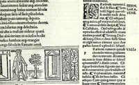 Picture 55 of 76 from M. Plauti linguae latinae principis comoediae XX recens ex collatione multorum codicum : q[ui] tum calamo scripti tum formulis excusi habeba[n]tur singulari diligentia recognitae : item eaedem comoediae o[mn]ibus fere locis co[m]mentationibus ornantur (1511), leaf 423