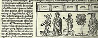 Picture 60 of 76 from M. Plauti linguae latinae principis comoediae XX recens ex collatione multorum codicum : q[ui] tum calamo scripti tum formulis excusi habeba[n]tur singulari diligentia recognitae : item eaedem comoediae o[mn]ibus fere locis co[m]mentationibus ornantur (1511), leaf 492