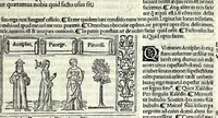 Picture 64 of 76 from M. Plauti linguae latinae principis comoediae XX recens ex collatione multorum codicum : q[ui] tum calamo scripti tum formulis excusi habeba[n]tur singulari diligentia recognitae : item eaedem comoediae o[mn]ibus fere locis co[m]mentationibus ornantur (1511), leaf 559
