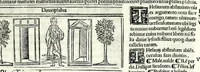 Picture 68 of 76 from M. Plauti linguae latinae principis comoediae XX recens ex collatione multorum codicum : q[ui] tum calamo scripti tum formulis excusi habeba[n]tur singulari diligentia recognitae : item eaedem comoediae o[mn]ibus fere locis co[m]mentationibus ornantur (1511), leaf 579