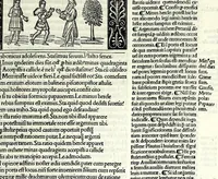An illustration from M. Plauti linguae latinae principis comoediae XX recens ex collatione multorum codicum : q[ui] tum calamo scripti tum formulis excusi habeba[n]tur singulari diligentia recognitae : item eaedem comoediae o[mn]ibus fere locis co[m]mentationibus ornantur (1511)