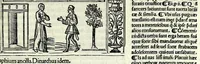 An illustration from M. Plauti linguae latinae principis comoediae XX recens ex collatione multorum codicum : q[ui] tum calamo scripti tum formulis excusi habeba[n]tur singulari diligentia recognitae : item eaedem comoediae o[mn]ibus fere locis co[m]mentationibus ornantur (1511)