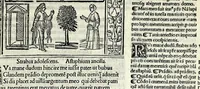 An illustration from M. Plauti linguae latinae principis comoediae XX recens ex collatione multorum codicum : q[ui] tum calamo scripti tum formulis excusi habeba[n]tur singulari diligentia recognitae : item eaedem comoediae o[mn]ibus fere locis co[m]mentationibus ornantur (1511)