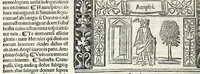 Picture 8 of 76 from M. Plauti linguae latinae principis comoediae XX recens ex collatione multorum codicum : q[ui] tum calamo scripti tum formulis excusi habeba[n]tur singulari diligentia recognitae : item eaedem comoediae o[mn]ibus fere locis co[m]mentationibus ornantur (1511), leaf 76