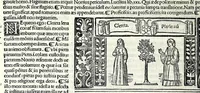 Picture 9 of 76 from M. Plauti linguae latinae principis comoediae XX recens ex collatione multorum codicum : q[ui] tum calamo scripti tum formulis excusi habeba[n]tur singulari diligentia recognitae : item eaedem comoediae o[mn]ibus fere locis co[m]mentationibus ornantur (1511), leaf 94