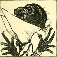 An illustration from M. P.'s in session, from Mr. Punch's parliamentary portrait gallery (1889)