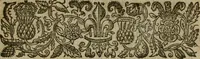 An illustration from Mr. Boltons last and learned worke of the foure last things, death, iudgement, hell and heaven. With his assises-sermons, and notes on Iustice Nicolls his funerall. Together with the life and death of the authour (1639)