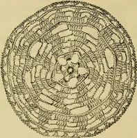 An illustration from Mrs. Gaugain's crochet D'Oyley book : [No. I-III] (1846)
