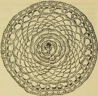An illustration from Mrs. Gaugain's crochet D'Oyley book : [No. I-III] (1846)