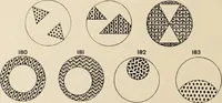 Picture 264 of 664 from Méthode de composition ornementale (1905), leaf 145