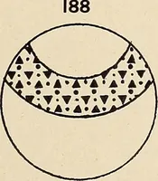 Picture 268 of 664 from Méthode de composition ornementale (1905), leaf 146