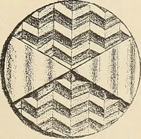 An illustration from Méthode de composition ornementale (1905)