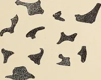 An illustration from Méthode de composition ornementale (1905)