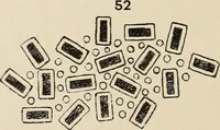 An illustration from Méthode de composition ornementale (1905)