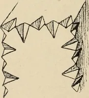 An illustration from Méthode de composition ornementale (1905)