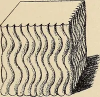An illustration from Méthode de composition ornementale (1905)