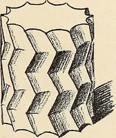 An illustration from Méthode de composition ornementale (1905)