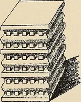 An illustration from Méthode de composition ornementale (1905)