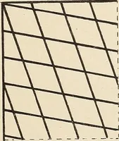 An illustration from Méthode de composition ornementale (1905)