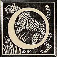Picture 6 of 664 from Méthode de composition ornementale (1905), leaf 30