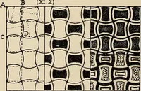An illustration from Méthode de composition ornementale (1905)