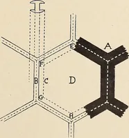 An illustration from Méthode de composition ornementale (1905)