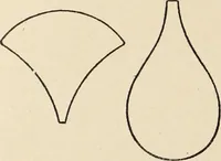 An illustration from Méthode de composition ornementale (1905)
