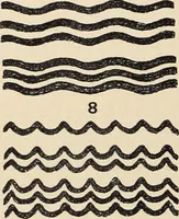Picture 41 of 664 from Méthode de composition ornementale (1905), leaf 49
