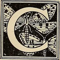 Picture 59 of 664 from Méthode de composition ornementale (1905), leaf 54