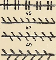 Picture 72 of 664 from Méthode de composition ornementale (1905), leaf 58