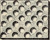 An illustration from Méthode de composition ornementale (1905)