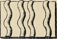 An illustration from Méthode de composition ornementale (1905)