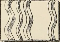 An illustration from Méthode de composition ornementale (1905)
